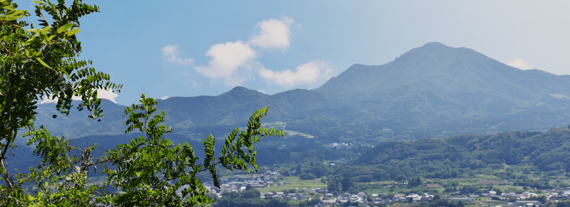 お陰様で創業50周年 地域密着で積み重ねてきた実績と信頼